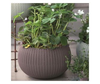 Ghiveci violet suspendat keter cozies s 3.2 l