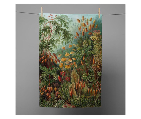 Prosop de bucatarie Surdic, Deep Forest, poliester, 50x70 cm, multicolor