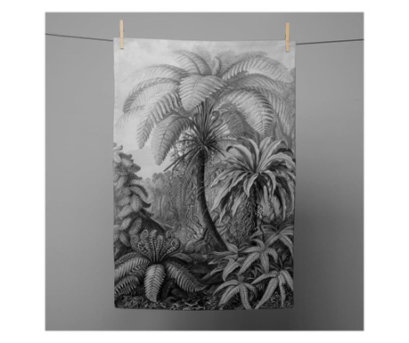 Kuhinjska brisača Vintage Palm 50x70 cm