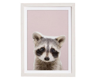 Slika Rose Baby Racoon 30x40 cm