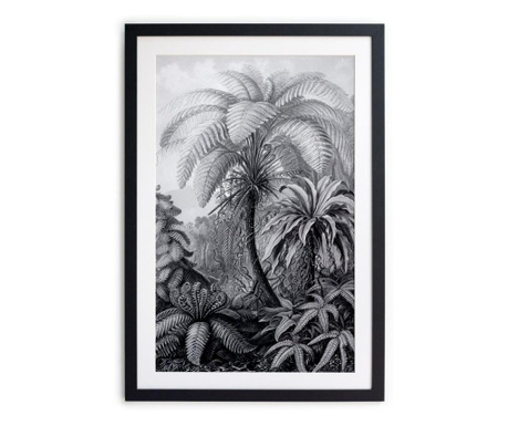 Obraz BW Palm 40x60 cm