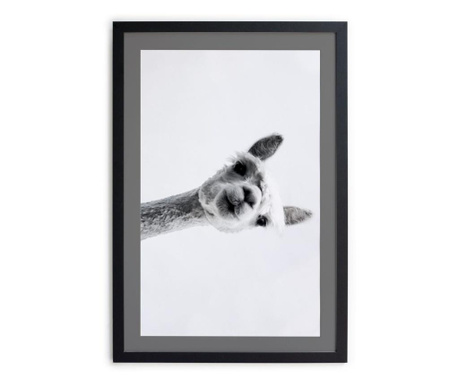 Картина Gray Alpaca 30x40 cm