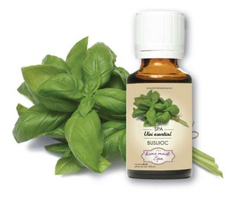 Ulei esential de Busuioc (Ocimum Basilicum) 10 ml, Homemade Spa