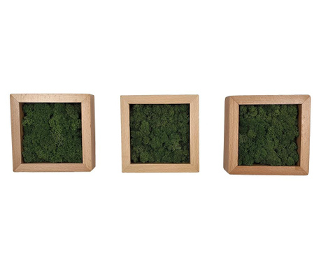 Set 3 tablouri patrate natur 15 cm cu licheni stabilizati