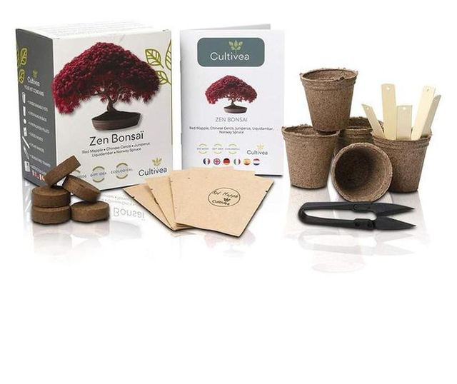 Kit de crestere plante Zen Bonsai