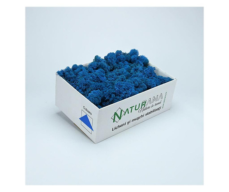 Licheni decorativi curatati Premium Albastru Azur INTENS, cutie 500 grame