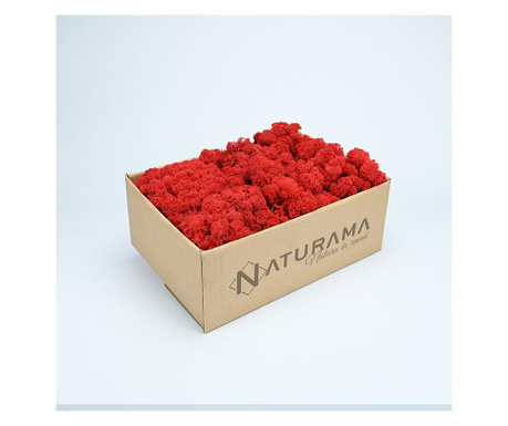 Licheni decorativi Rosu, cutie 500 grame