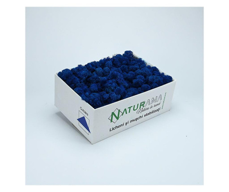 Licheni decorativi curatati Premium Albastru Marin INTENS, cutie 500 grame