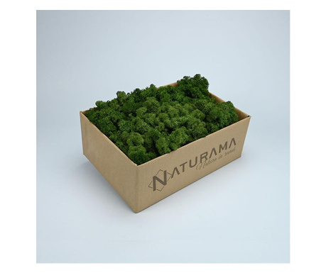 Licheni decorativi Verde Inchis, cutie 1 kg