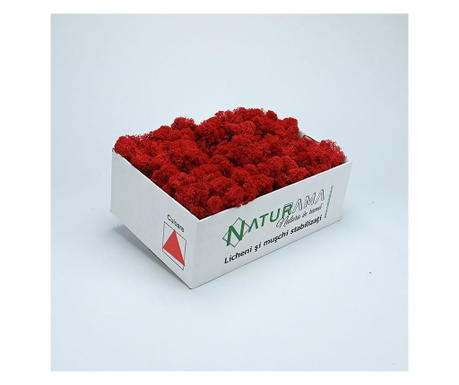 Licheni decorativi curatati Premium Rosu INTENS, cutie 500 grame