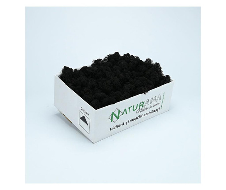 Licheni decorativi curatati Premium Negru INTENS, cutie 500 grame