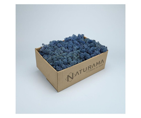 Licheni decorativi Albastru Azur, cutie 500 grame