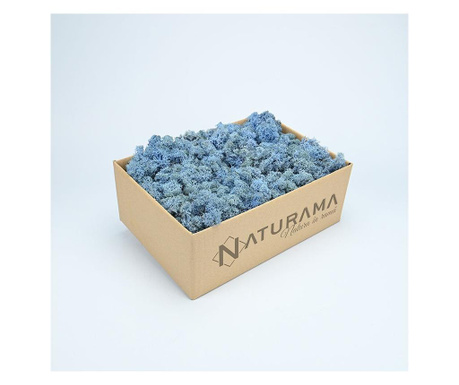 Licheni decorativi Albastru Ice, cutie 500 grame