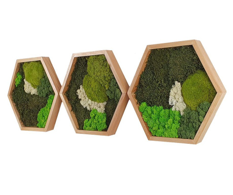 Set 3 tablouri hexagonale natur 40 cm cu muschi si licheni stabilizati