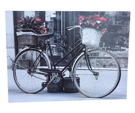 Декоративна живопис Pufo Bicycle, 30 x 40 cm