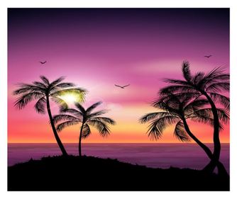 Ταπετσαρία Palmieri4, 300 x 250 cm