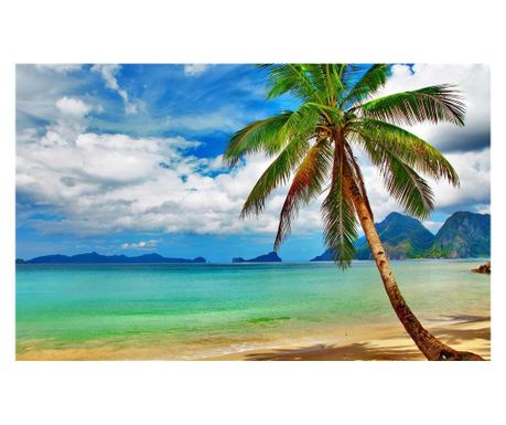 Fototapeta za zidove samoljepljiva i praljiva Plaža s palmama, 270 x 200 cm