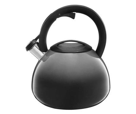 Ceainic aragaz cu fluier 2.6L (3L), inductie, gri, AMBITION Ombre 