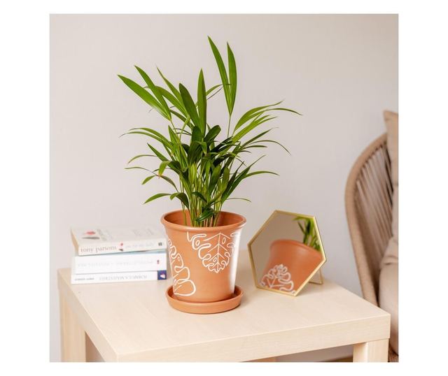 Set ghivece decorative, D E C O R I S S, pictate manual, ilustratie frunze de Monstera, culoarea alb și maro