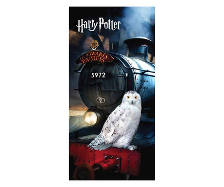 Πετσέτα θαλάσσης Harry Potter 70x140 cm