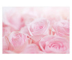 Fototapeta Ocean of roses 280x400 cm