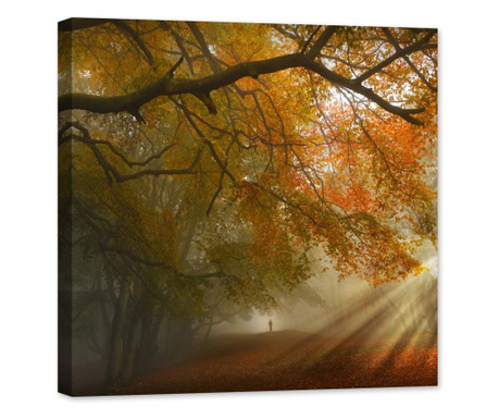 Tablou luminos in intuneric, GlowforHome, drum prin padure in ceata cu silueta umana si copaci multicolori toamna, 80x80 cm