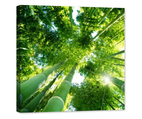 Tablou luminos in intuneric, GlowforHome, padure de bambus in raze de soare privita de jos, 80x80 cm