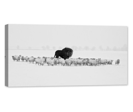 Tablou luminos in intuneric, GlowforHome, Citate motivationale, Leu negru printre oi albe in fundal alb, 80 cm x 40 cm