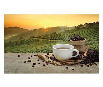 Covoras bucatarie Davo Pro Coffee Sun nylon bej si maro dreptunghiular 67x120 cm