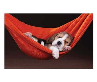 Covoras bucatarie Davo Pro Puppy nylon portocaliu dreptunghiular 50x80 cm