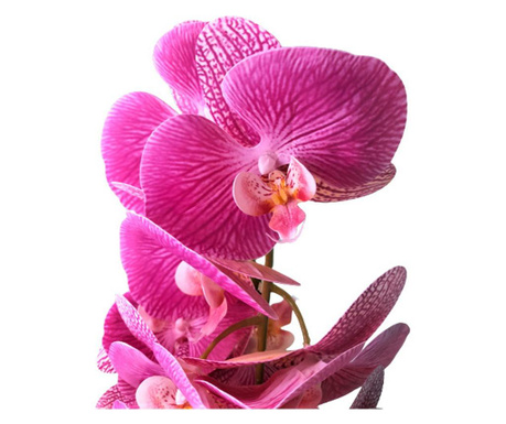 Orhidee artificiala siliconata cu aspect 100% natural, in bol de ceramica alb 45 cm,M3