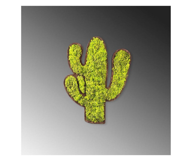 Nástenná dekorácia Cactus