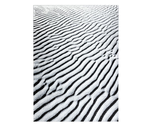 Килим ARGENT – W9558 дюни, пясък сив 200x290 cm  200x290 см