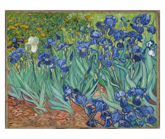 Vászonkép, reprodukció van gogh - irises, 50x40 cm