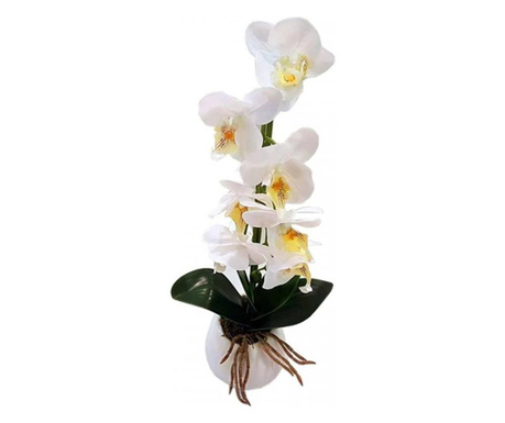 Orhidee artificiala, Alb