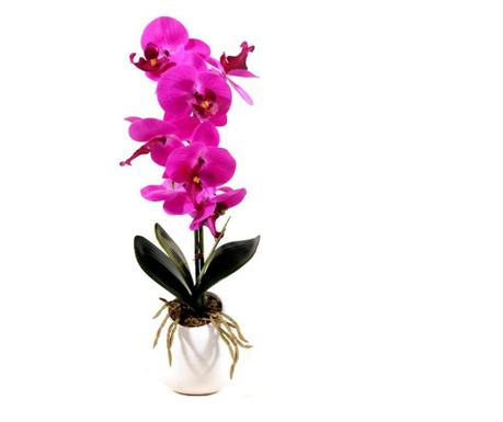 Orhidee artificiala, Roz