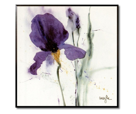 Tablou iris ii, 31x31 cm