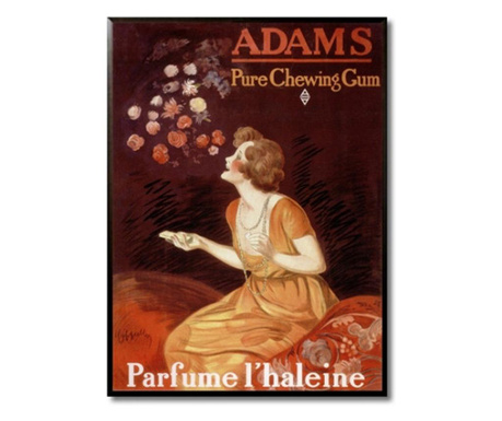 Tablou adams pure chewing gum, 31x42 cm