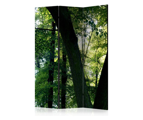 Параван Artgeist - Spring in the Park [Room Dividers] - 135 x 172 см