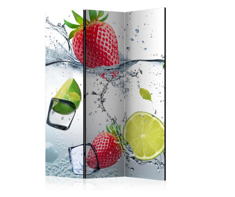 Параван Artgeist - Fruit cocktail [Room Dividers] - 135 x 172 см