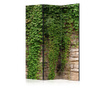 Španska stena Artgeist - Ivy wall [Room Dividers] - 135 x 172 cm