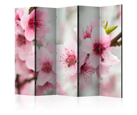 Параван Artgeist - Spring, blooming tree - pink flowers II [Room Dividers] - 225 x 172 см