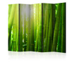 Параван Artgeist - Sun and bamboo II [Room Dividers] - 225 x 172 см