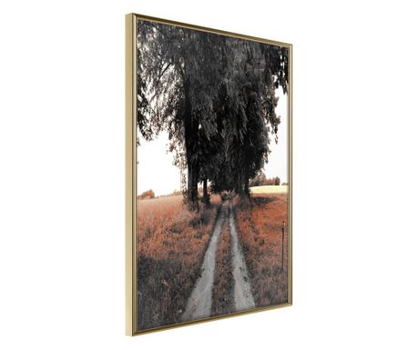 Tablou poster artgeist, field path, rama aurie  40x60 cm