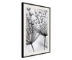 Tablou poster artgeist, dew in the macro scale, rama neagra tip passe-partout  20x30 cm