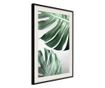 Tablou poster Artgeist, Leaves Like Swiss Cheese, Rama neagra tip passe-partout, 20 x 30 cm