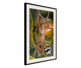 Tablou poster Artgeist, Life in the Jungle, Rama neagra tip passe-partout, 30 x 45 cm