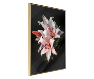 Tablou poster Artgeist, Pale Pink Lilies, Rama aurie, 40 x 60 cm