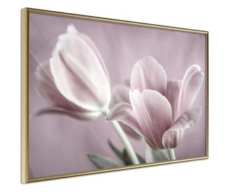 Tablou poster Artgeist, Pastel Tulips I, Rama aurie, 60 x 40 cm