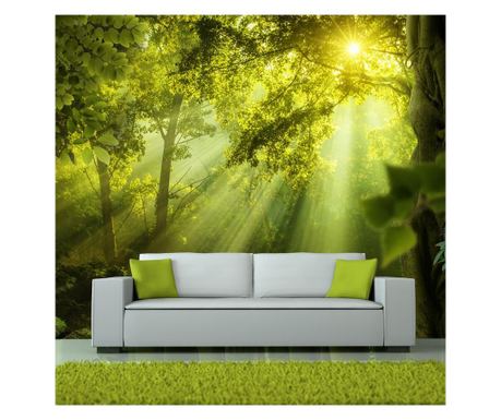 Fotótapéta - in a secret forest - 150x105 cm